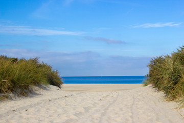 Fototapeta na wymiar Path trough the dunes, Renesse, Zeeland, the Netherlands