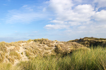 the dunes, Renesse, Zeeland, the Netherlands