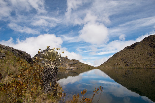 Paramo Santurban