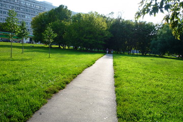 path in park