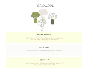 Vector hand drawn broccoli. Vegetables. Healthy nutrition, vegetarians, vegans.