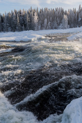 Storforsens Naturreservat,.very important river rapids,