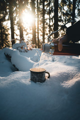 camping in winter forest