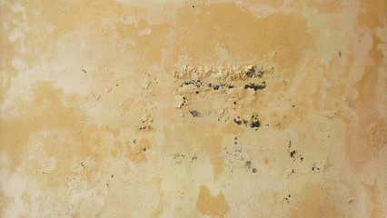 weathered wall with mold and cracked paint