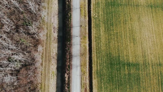 Agricultural field and road in Friuli Venezia Giulia, Marano, Italy
