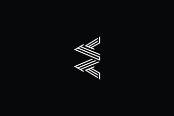 Minimal elegant monogram art logo. Outstanding professional trendy awesome artistic E EE EZ ZE initial based Alphabet icon logo. Premium Business logo White color on black background