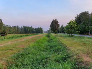 The driveway is covered with grass filled the area.