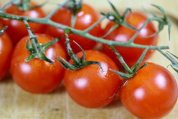 tomates cerises en grappe en gros plan