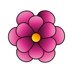 cute flower pink color isolated icon vector illustration design