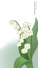 lily of the valley