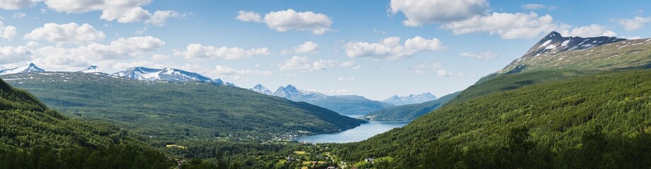 Fototapeta na wymiar Panoramic view of mountain and fjord in Norway in summer season, Norway, Scandinavia