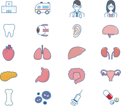 3 525 Best 内臓 Images Stock Photos Vectors Adobe Stock 3 525 Best 内臓 Images Stock Photos Vectors Adobe Stock