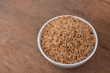 rice plants, grains of Thai jasmine rice