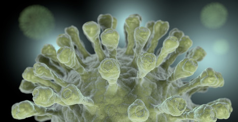 detail of coronavirus magnification