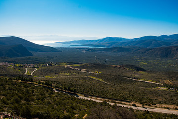Fototapeta na wymiar Panoramic view of the huge ancient olive grove of Delphi and the bay of Itea in Phocis, Greece