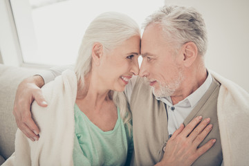 Side profile close up photo of two charming lovely sweet close relatives touching noses sending all best feelings and emotions