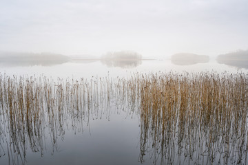 Fototapety  Mglisty krajobraz ze spokojnym jeziorem. Mgła nad wodą. Mgliste powietrze. Wczesny chłodny poranek jesienią. Piękna chwila wolności i spokojna atmosfera na łonie natury.