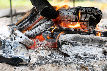 wooden logs or firewood burn with red yellow flame among pieces of embers and live coals