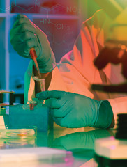 Scientist holds and examine samples in a laboratory