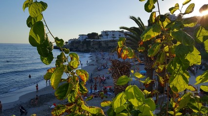 Naklejka premium andalusien 7