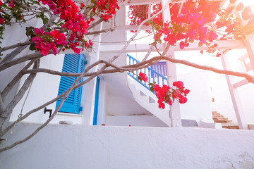 Narrow streets of Paros island city. Greece.