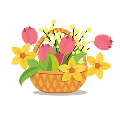 Wicker basket with flowers-tulips, Mimosa, daffodils. Isolated on a white background. The stock graphics.