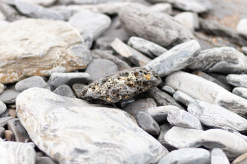 rare gray and orange shaped stone pierced with other stones and rocks around. Wallpaper