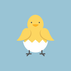Little cute yellow chick isolated on a blue background vector illustration, flat style,EPS10