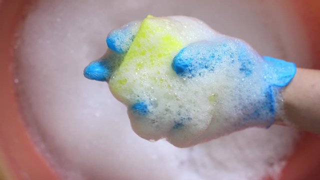 sponge with foam in the hand of a woman in a blue glove. cleaning the house