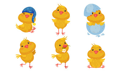 Cartoon Chicken Character Holding Flower in His Beak and Wearing Sleeping Hat Vector Set