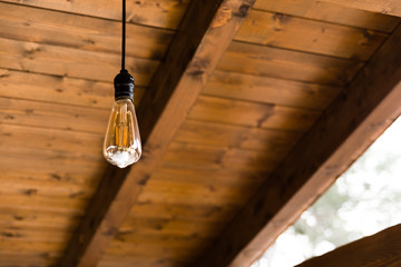 Vintage light bulb on wooden background