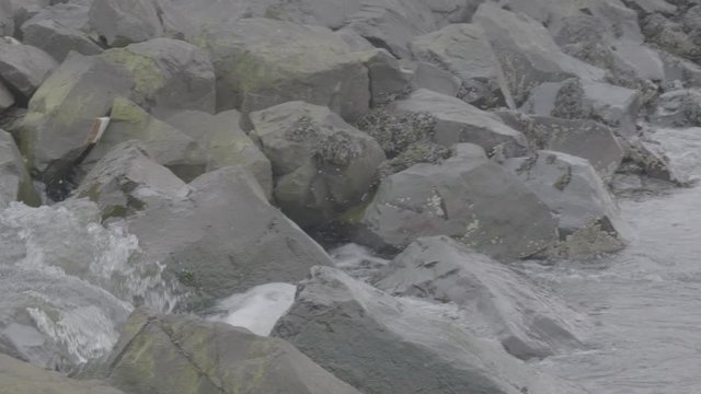 River floading into harbour