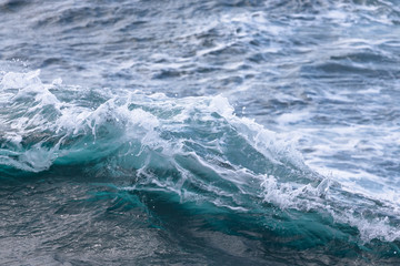 White crest of a sea wave. Selective focus. Shallow depth of field