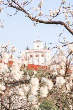 Spring in Prague, Petrin, Petrin Garden, Czech Republic, Prazske Jaro, Jaro v Praze
