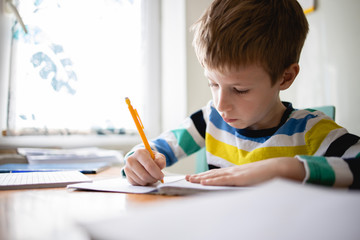 Little Boy Doing Homework at Home