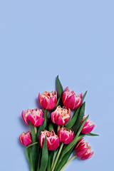 Greeting card with bouquet of tulips on blue background and place for your text. Vertical picture.