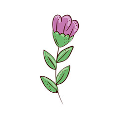 cute flower purple with branch and leafs vector illustration design