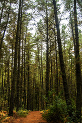 Fototapeta premium Sierra de Málaga