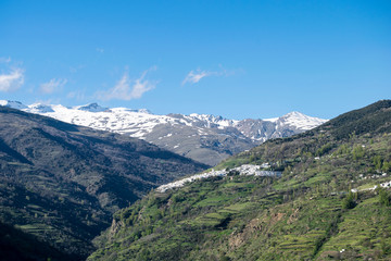 Fototapeta premium Sierra Nevada