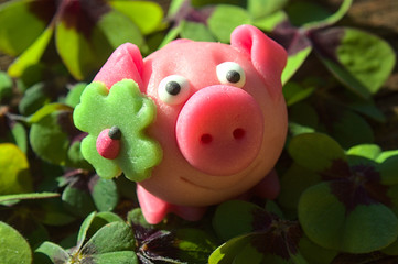 Marzipanschwein im Gl&uuml;cksklee	
