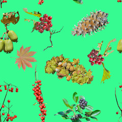 Fototapeta na wymiar Wild berries and nuts. Seamless pattern.