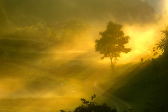 A view of khun sathan national park in sunrise Nan,Thailand