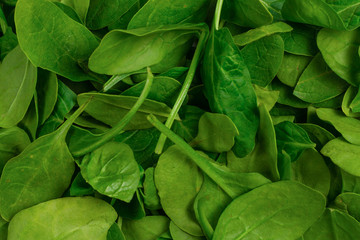Fresh spinach leaves as background.
