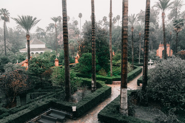 Inside garden in Seville, Spain