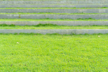 green grass lawn stack in the garden close up view