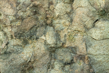 Texture on the surface of rock