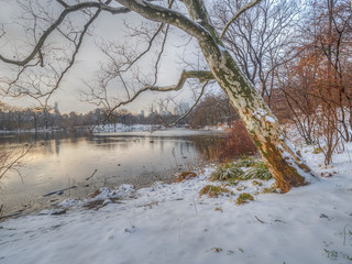 Central Park, New York City at the lake