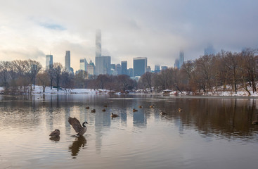 Fototapeta premium Central Park, New York City at the lake