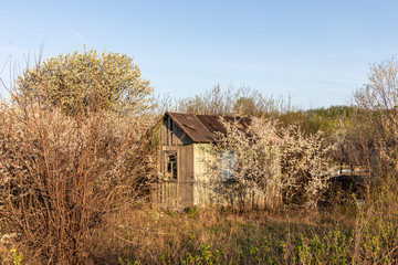 Fototapeta premium abandoned farm house