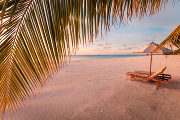 Beautiful tropical sunset scenery, two sun beds, loungers, umbrella under palm tree. White sand, sea view with horizon, colorful twilight sky, calmness and relaxation. Inspirational beach resort hotel